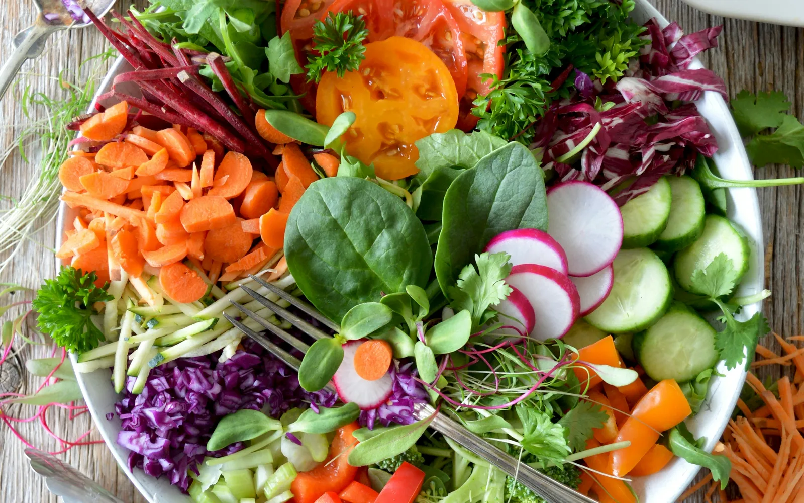 Gut-Brain Axis: How Food Dictates Your Mood
